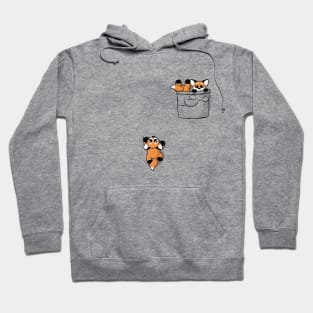 Cute Pocket Foxes Hoodie